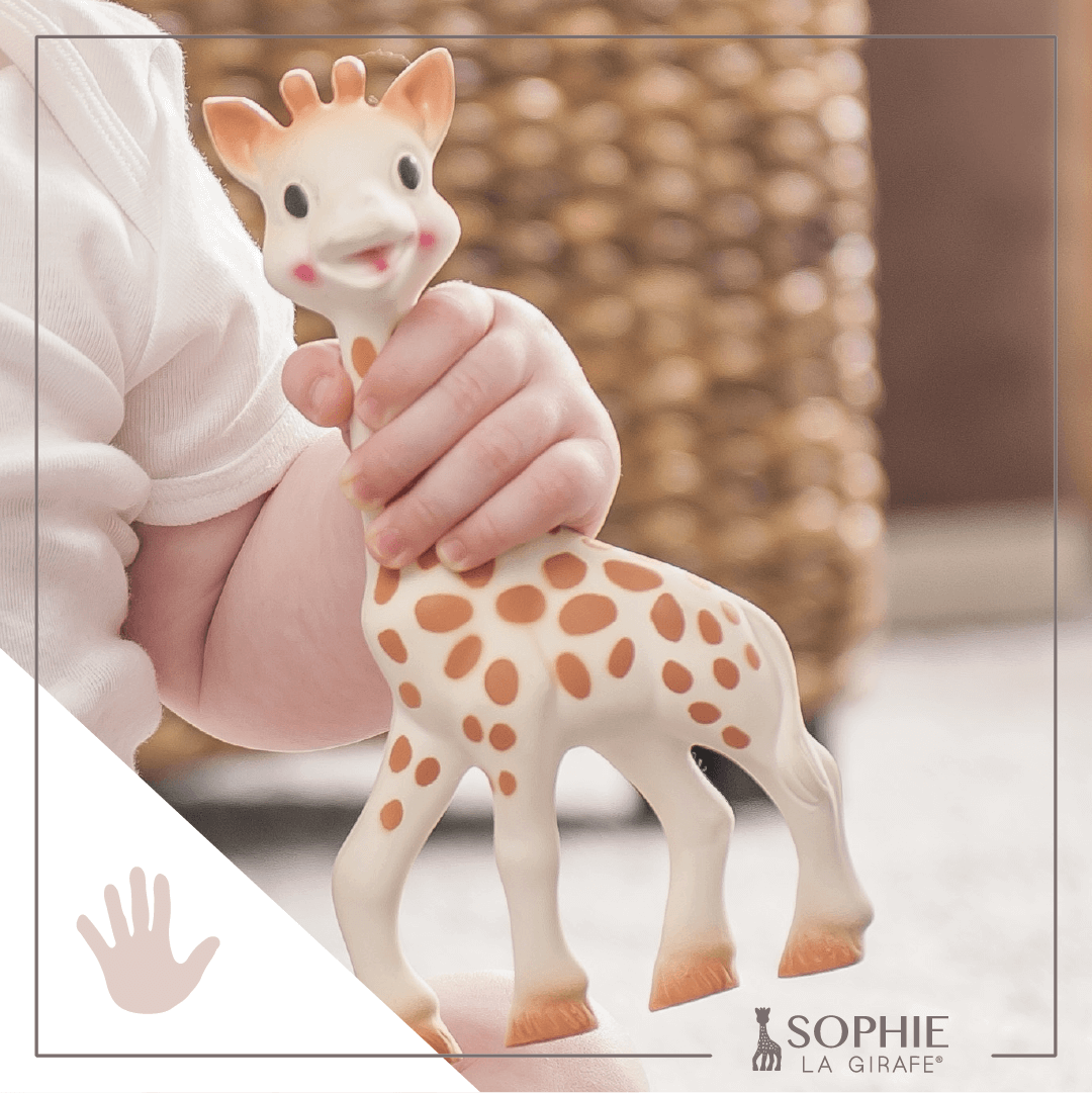 Ismerd meg a világhírű Sophie zsiráf minden apró titkát!