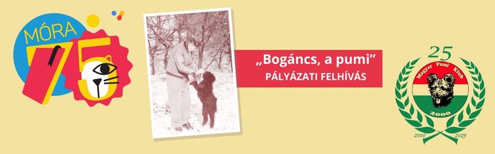 „Bogáncs, a pumi” – PÁLYÁZATI FELHÍVÁS