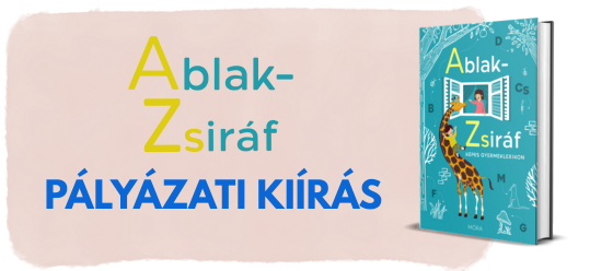 PÁLYÁZATI KIÍRÁS